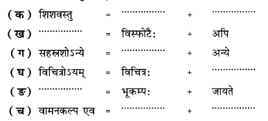 भूकंपविभीषिका (Bhukampavibhishika) Diagram 3