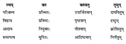 विचित्रः साक्षी (Vichitrah_Sakshi) Diagram 2