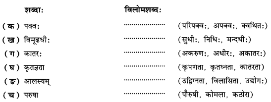 सूक्तयः (Suktayah) Diagram 1