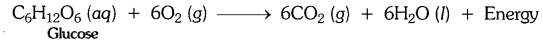Chemical Reactions and Equations Diagram 4