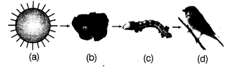 Our Environment Diagram 3
