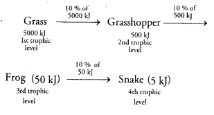 Our Environment Diagram 5
