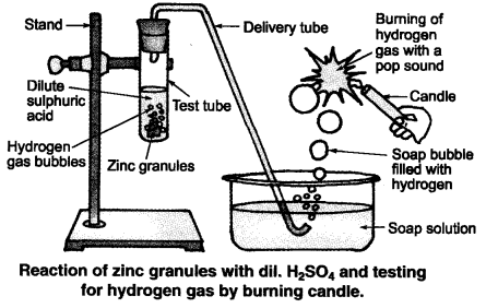 Acids Bases and Salts Diagram 1