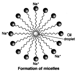 Carbon and Its Compounds Diagram 15