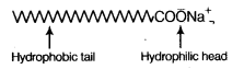 Carbon and Its Compounds Diagram 24