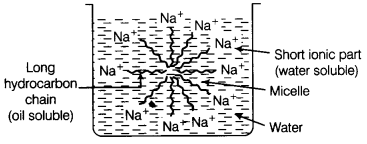 Carbon and Its Compounds Diagram 35