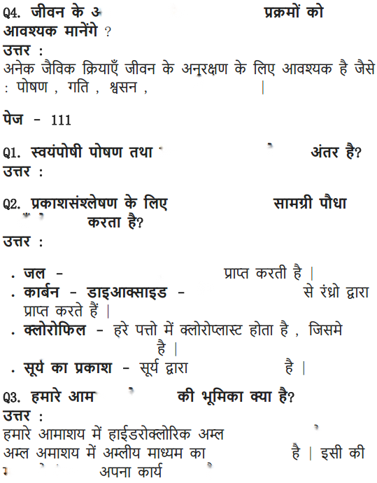 Life Processes Diagram 11