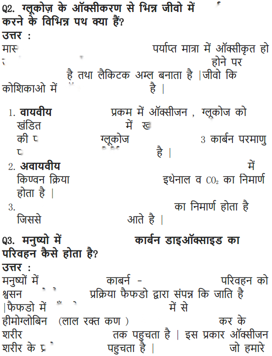Life Processes Diagram 13
