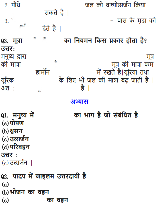 Life Processes Diagram 17
