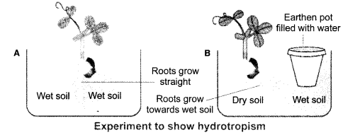 Control and Coordination Diagram 1