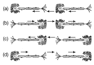 Control and Coordination Diagram 8
