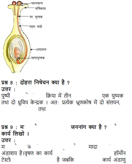 How do Organisms Reproduce Diagram 21