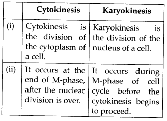Cell Cycle and Cell Division Diagram 1