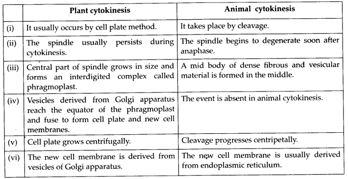 Cell Cycle and Cell Division Diagram 3