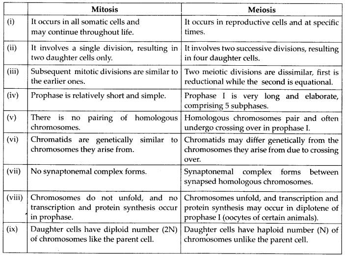 Cell Cycle and Cell Division Diagram 4