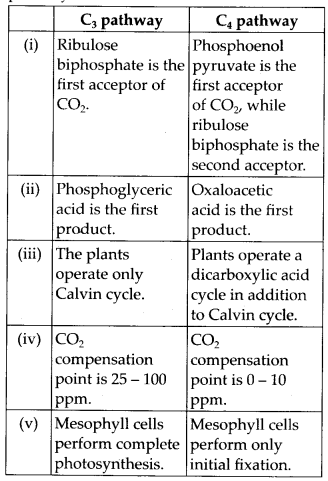 Photosynthesis in Higher Plants Diagram 1