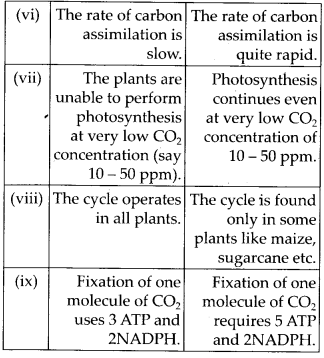 Photosynthesis in Higher Plants Diagram 2