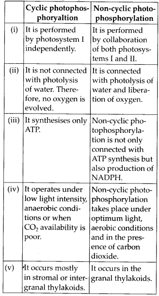 Photosynthesis in Higher Plants Diagram 3
