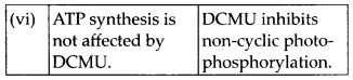 Photosynthesis in Higher Plants Diagram 4