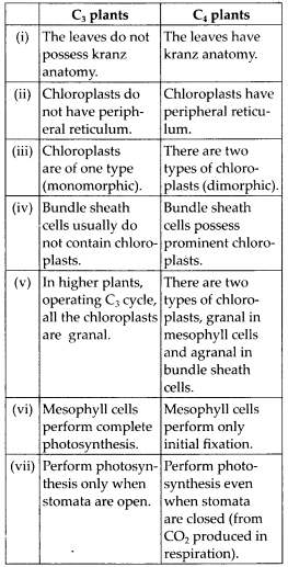 Photosynthesis in Higher Plants Diagram 5