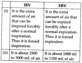 Breathing and Exchange of Gases Diagram 1