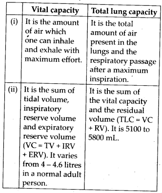 Breathing and Exchange of Gases Diagram 3