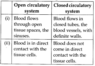 Body Fluids and Circulation Diagram 3