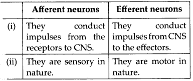 Neural Control and Coordination Diagram 11