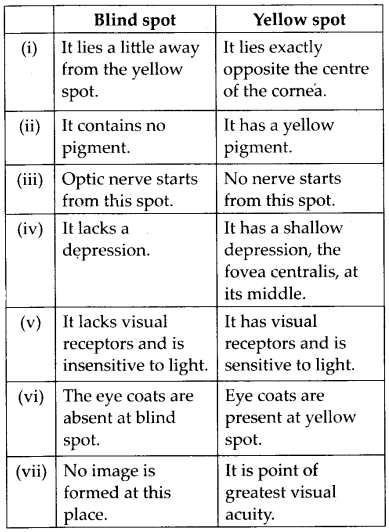 Neural Control and Coordination Diagram 14