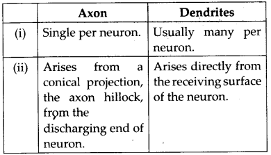 Neural Control and Coordination Diagram 6