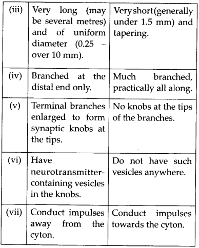 Neural Control and Coordination Diagram 7