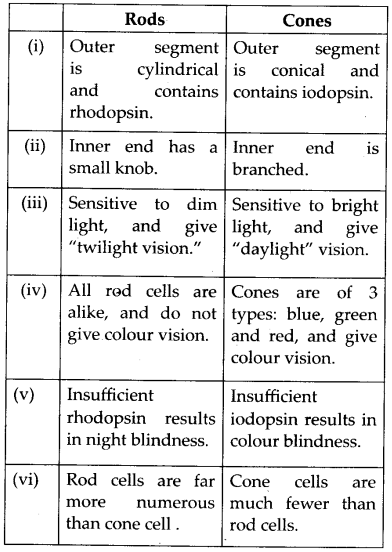 Neural Control and Coordination Diagram 8