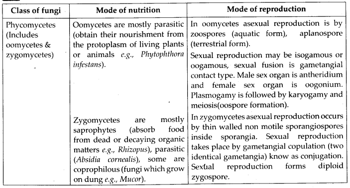 Biological Classification Diagram 1