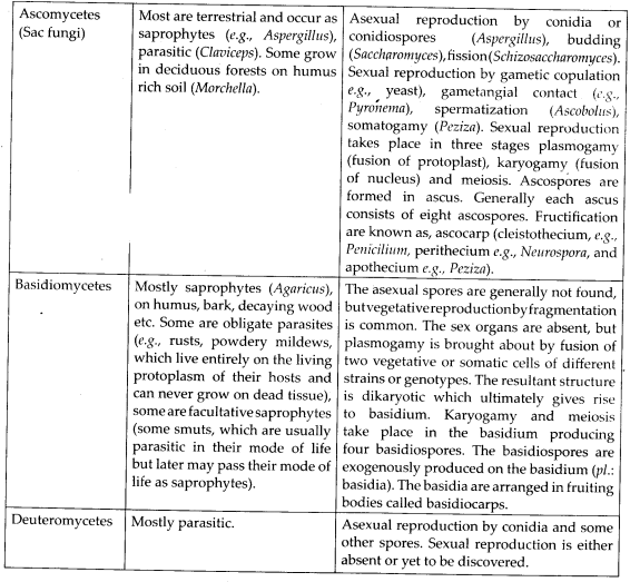 Biological Classification Diagram 2
