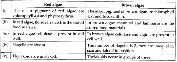 Plant Kingdom Diagram 2