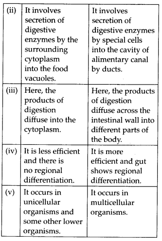 Animal Kingdom Diagram 2