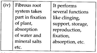 Morphology of Flowering Plants Diagram 3