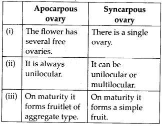Morphology of Flowering Plants Diagram 4