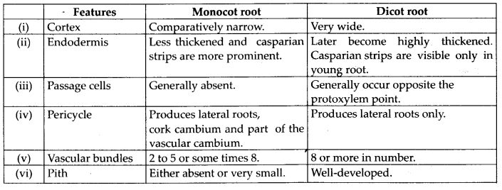 Anatomy of Flowering Plants Diagram 3
