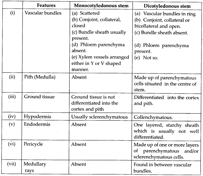Anatomy of Flowering Plants Diagram 5