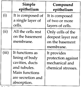 Structural Organisation in Animals Diagram 12