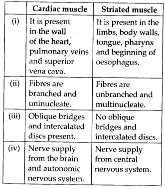 Structural Organisation in Animals Diagram 13