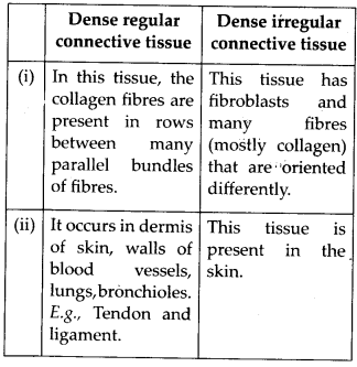 Structural Organisation in Animals Diagram 15