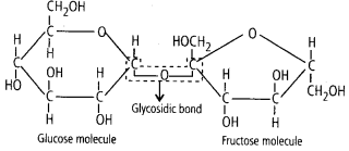 Biomolecules Diagram 1