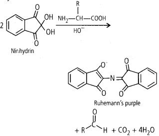 Biomolecules Diagram 10