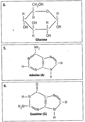 Biomolecules Diagram 5