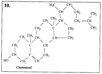 Biomolecules Diagram 7