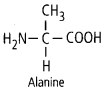 Biomolecules Diagram 9