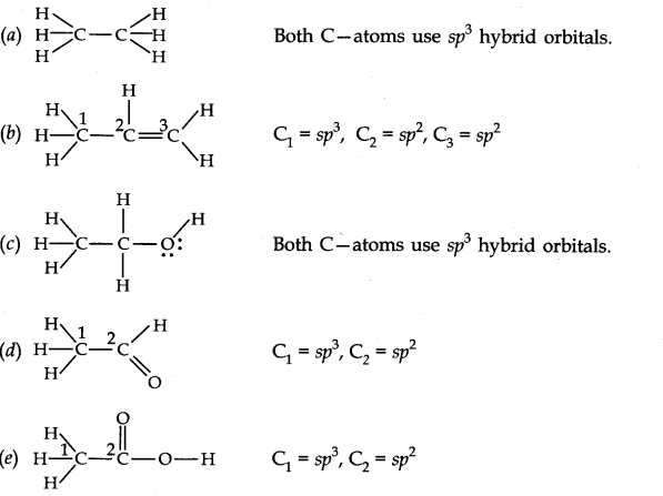 Chemical Bonding and Molecular Structure Diagram 16