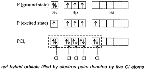 Chemical Bonding and Molecular Structure Diagram 20